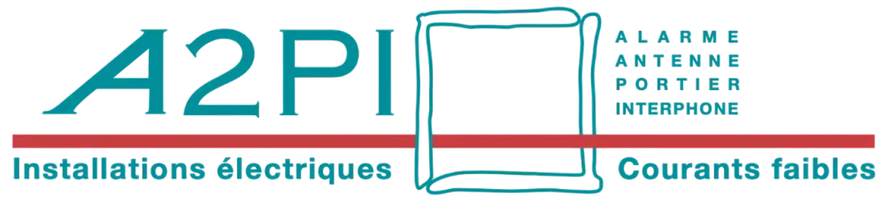 logo a2pi sans background